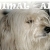 animalain