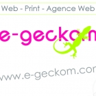 E-denzo agence web et print