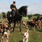 Samedi 3 sept fte du chien et de la nature