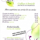 Coiffure  domicile  villeneuve d ascq 59650