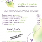 Coiffure a domicile sur villeneuve d ascq