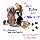 Service animalier  domicile