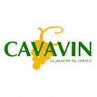 Cavavin Voiron