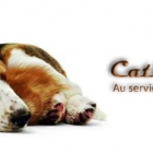 Cath's Services Mrville