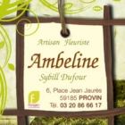 Ambeline  Provin