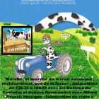 Concours de vaches Normande - comice agricole